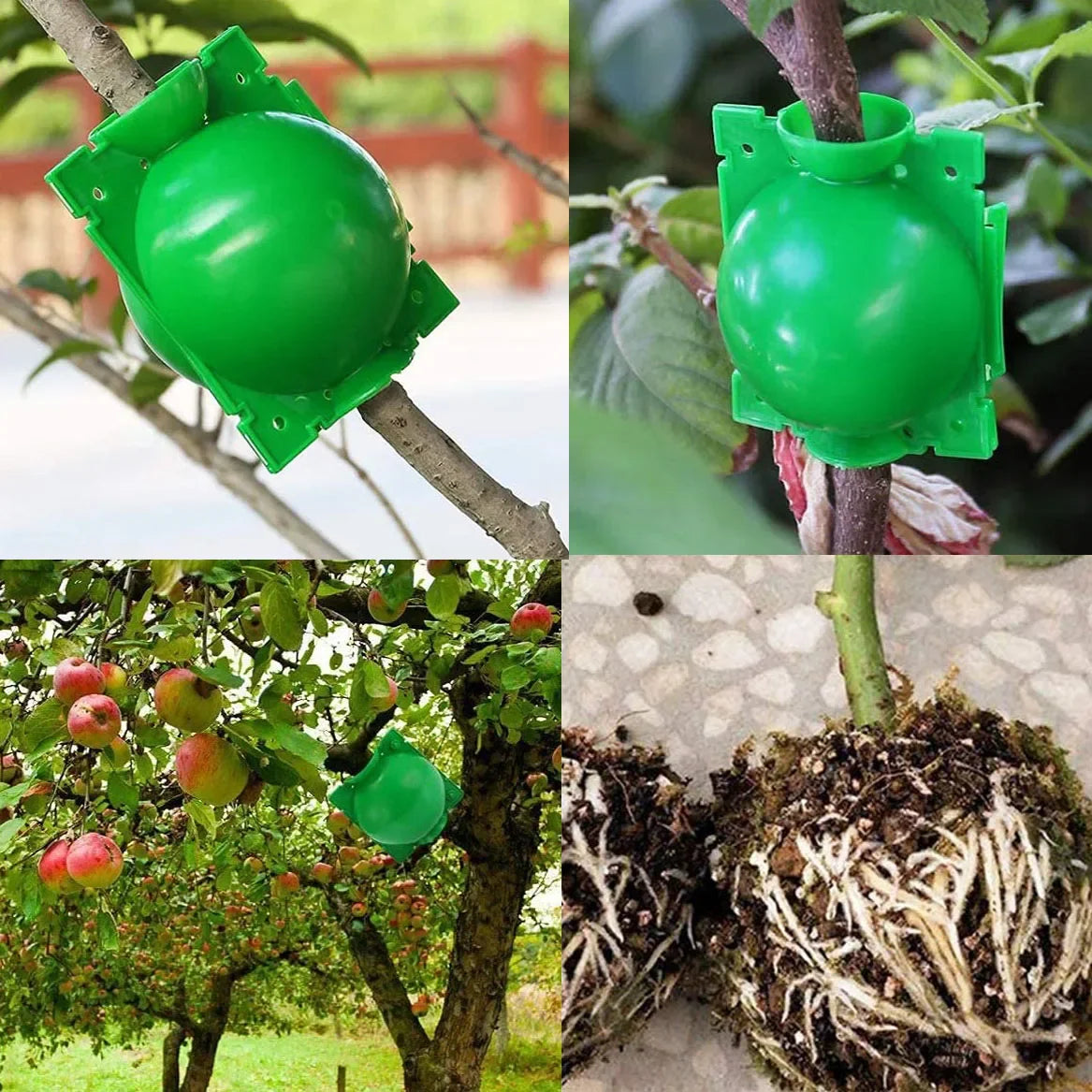 5pcs Breeding plant root pot  Garden plant rooting ball Grafting rooting box Grafting breeding seedling balls Garden supplies