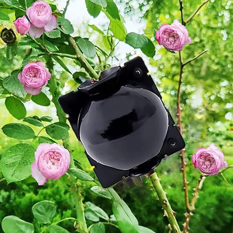 5pcs Breeding plant root pot  Garden plant rooting ball Grafting rooting box Grafting breeding seedling balls Garden supplies