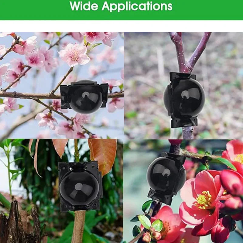 5pcs Breeding plant root pot  Garden plant rooting ball Grafting rooting box Grafting breeding seedling balls Garden supplies