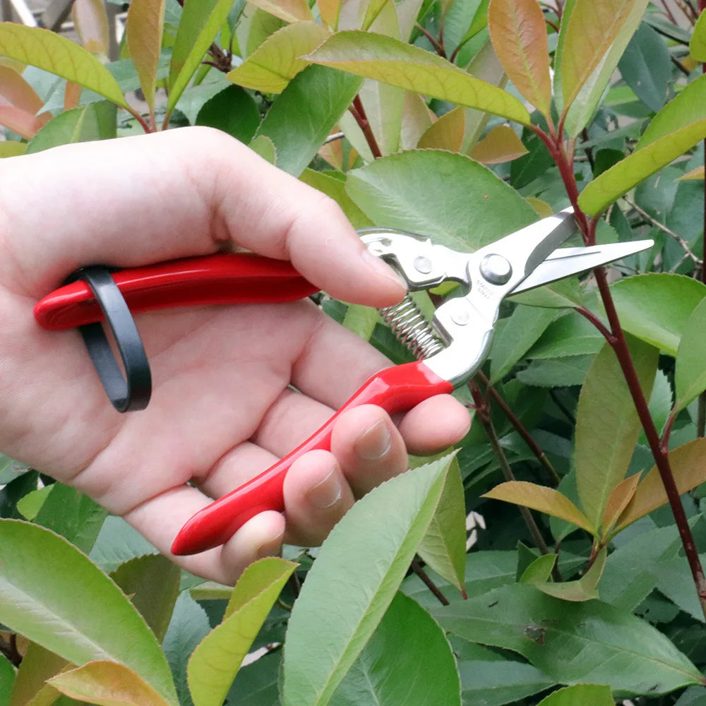 Bonsai Gardening Pruning Shears Garden Scissors Pruner Tool Fruit Scissor Tree Scissor Professional Shears for Gardeners